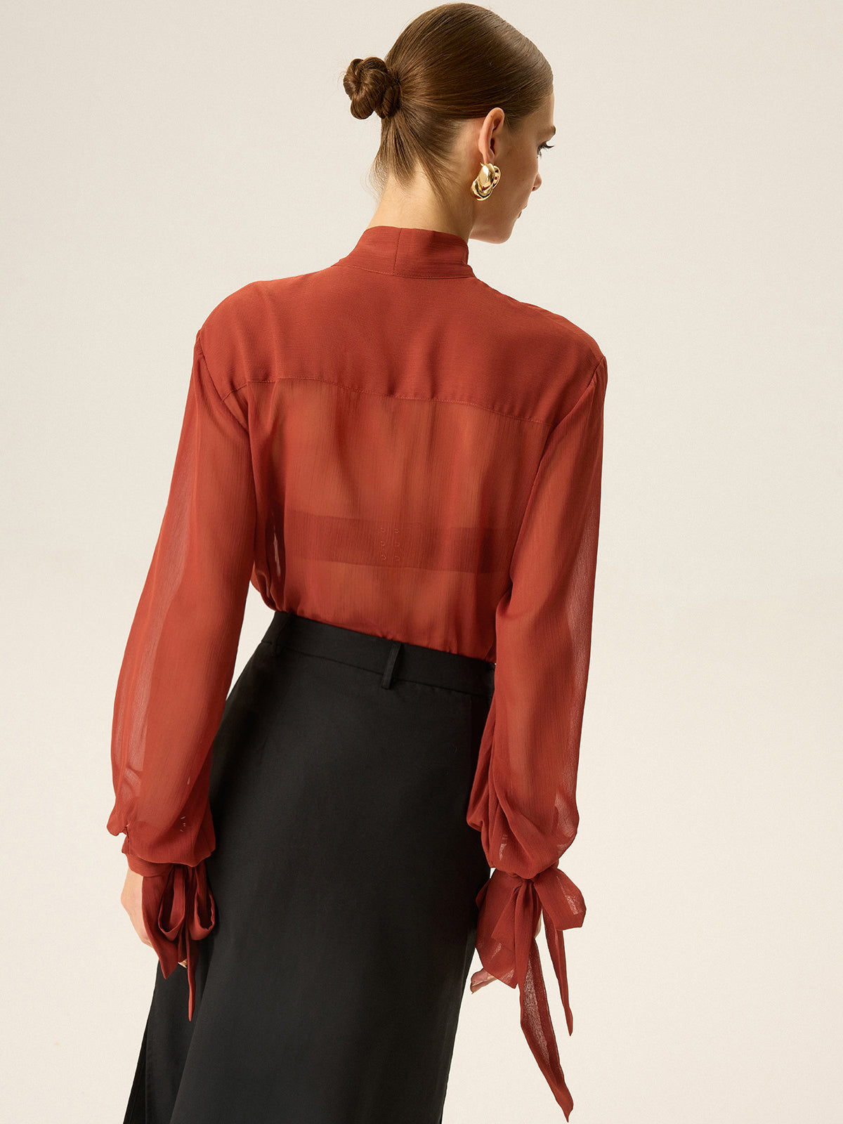Semi-Sheer Chiffon Tie Neck Blouse for Women Casual or Office