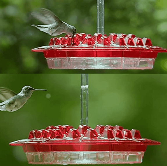Koadclo | Ant-Proof Hummingbird Feeder with Outdoor Hanging Perch