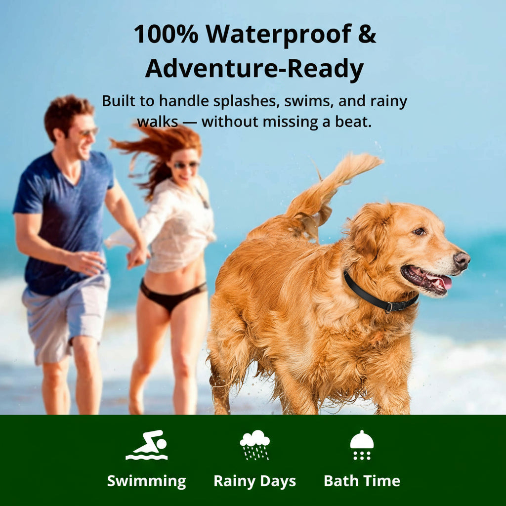 koadclo | 1000m Waterproof Dog Training Collar – Rechargeable, Remote Control & Adjustable for Small, Medium, and Large Dogs