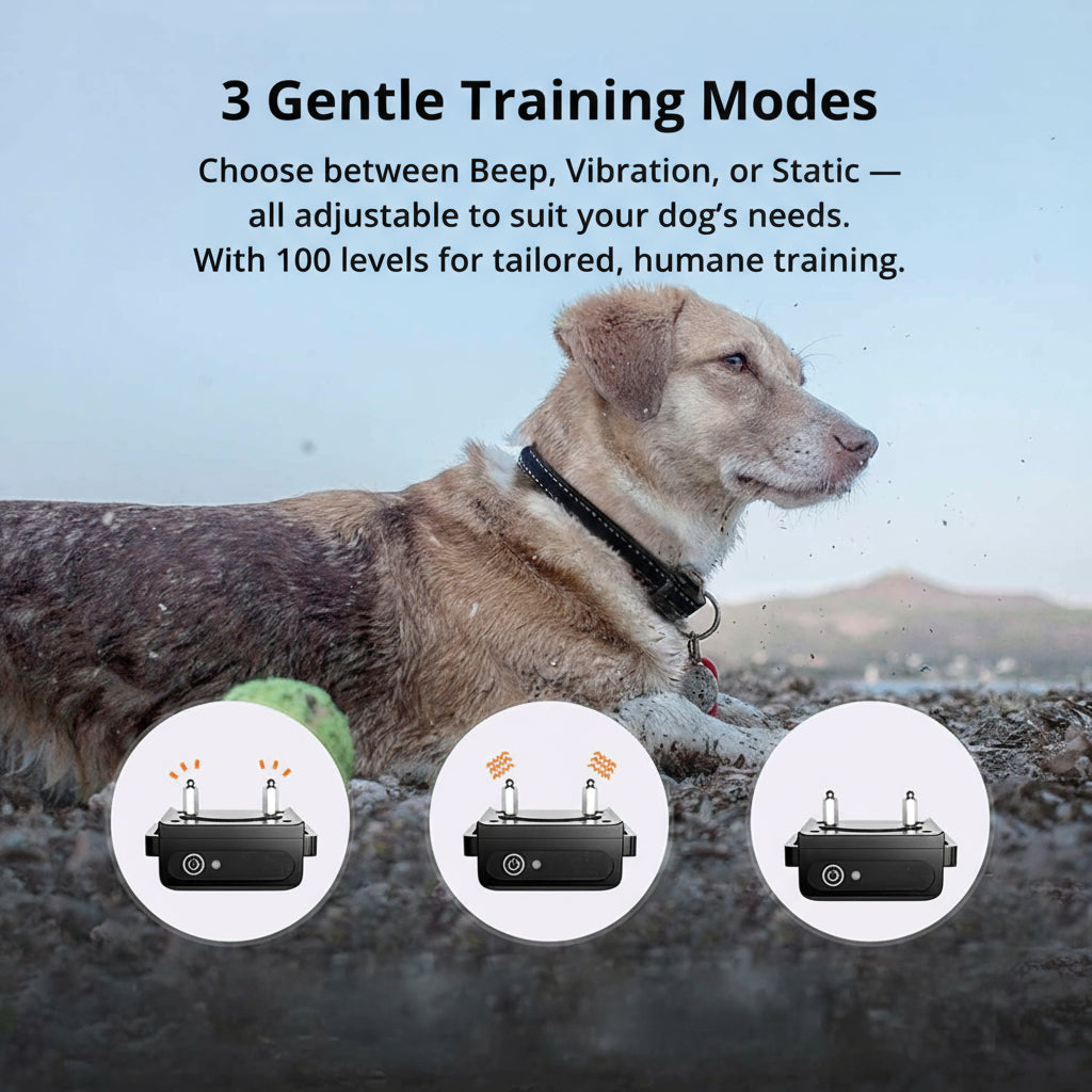 koadclo | 1000m Waterproof Dog Training Collar – Rechargeable, Remote Control & Adjustable for Small, Medium, and Large Dogs