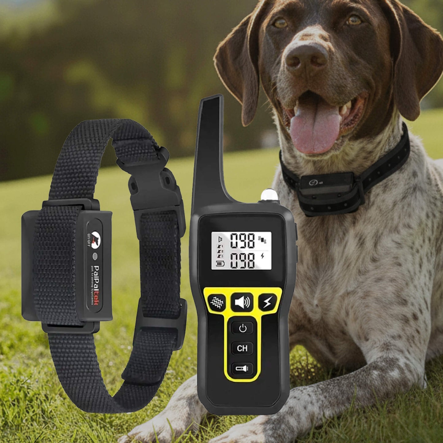 koadclo | 1000m Waterproof Dog Training Collar – Rechargeable, Remote Control & Adjustable for Small, Medium, and Large Dogs