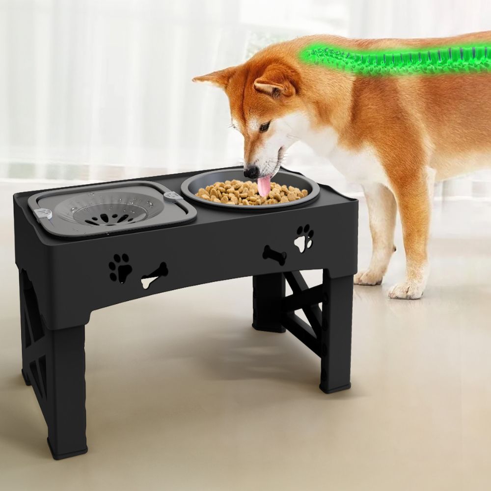 koadclo | Dog Bowl - Raised Adjustable Slow Feeder Stand
