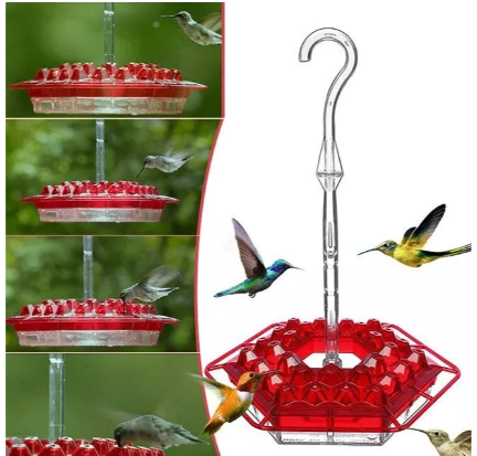 Koadclo | Ant-Proof Hummingbird Feeder with Outdoor Hanging Perch