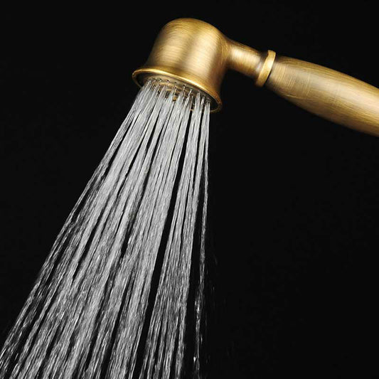 Koadclo | Traditional Handheld Shower Head with Hose - Polished Brass Wall Mounted