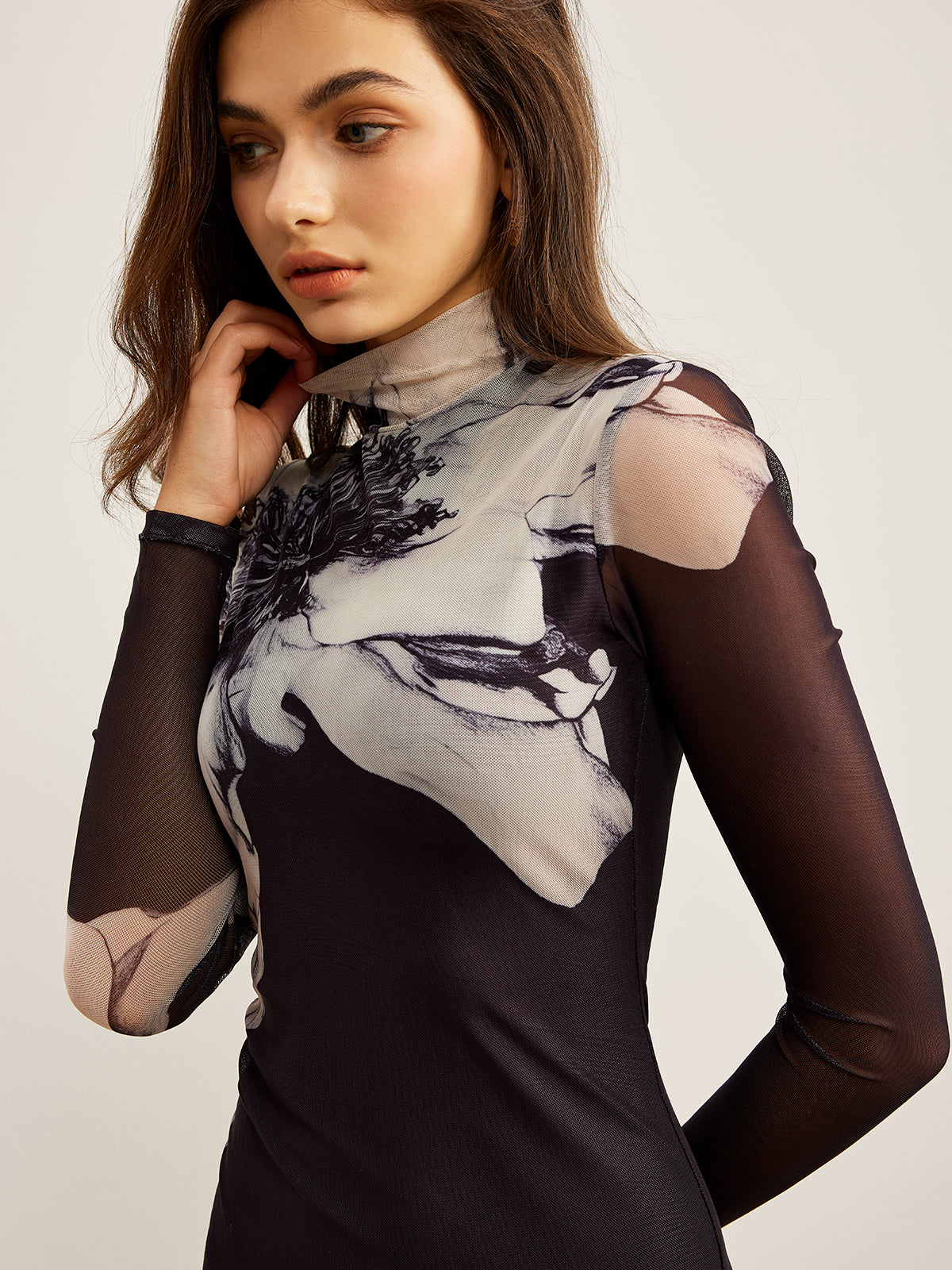 Mock Neck Printed Mesh Dress with Long Sleeves and Floral Details