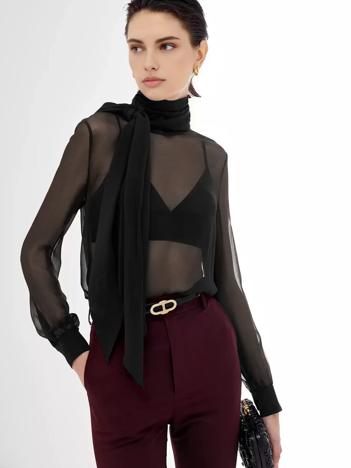 Sheer Bow Chiffon Blouse Elegant Lightweight Long Sleeve Pullover