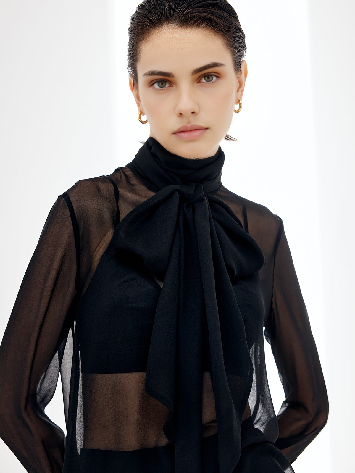 Sheer Bow Chiffon Blouse Elegant Lightweight Long Sleeve Pullover