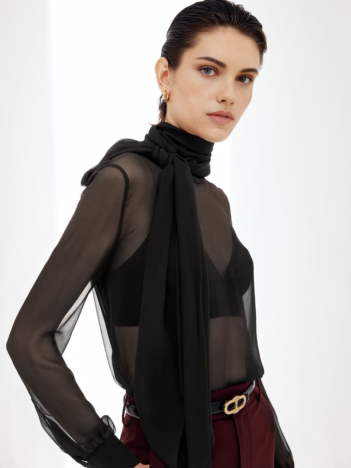 Sheer Bow Chiffon Blouse Elegant Lightweight Long Sleeve Pullover