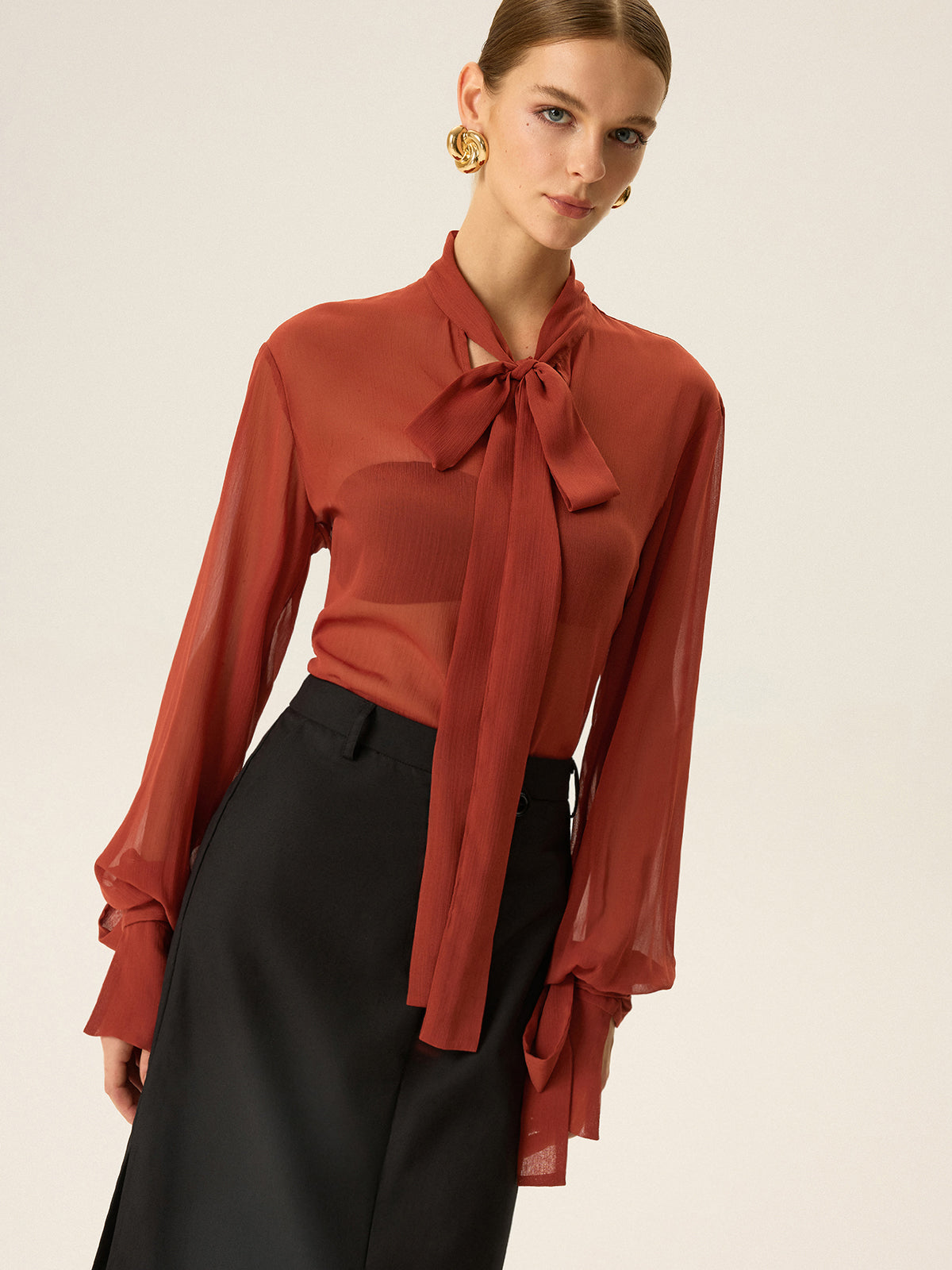 Semi-Sheer Chiffon Tie Neck Blouse for Women Casual or Office