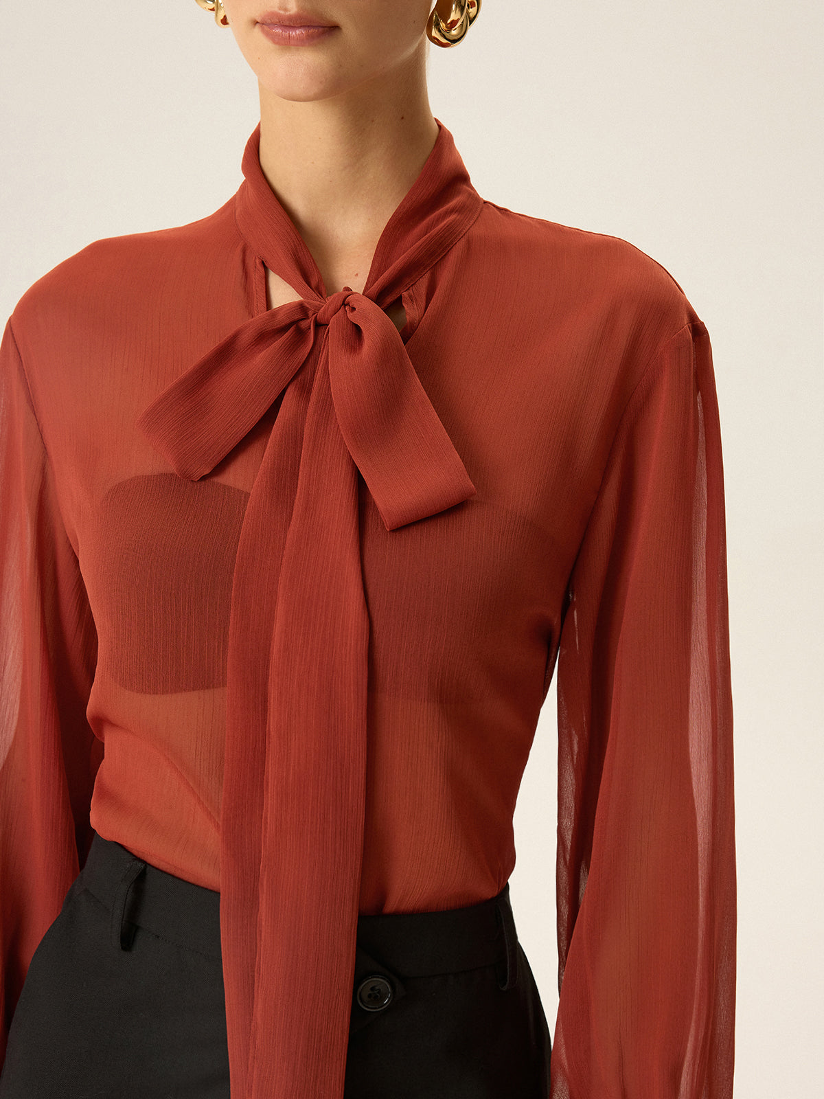 Semi-Sheer Chiffon Tie Neck Blouse for Women Casual or Office