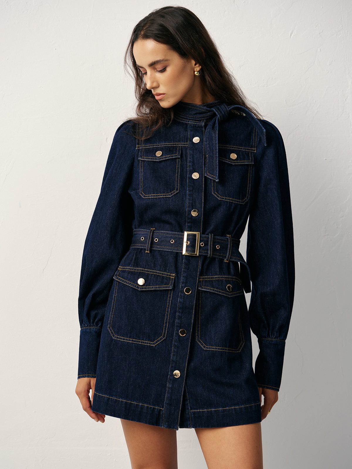 Belted Button-Front Denim Dress with Pockets and Collar