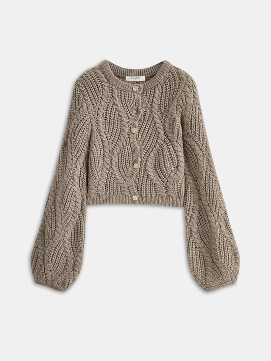 Wool Blend Cable Knit Cardigan with Button Closure