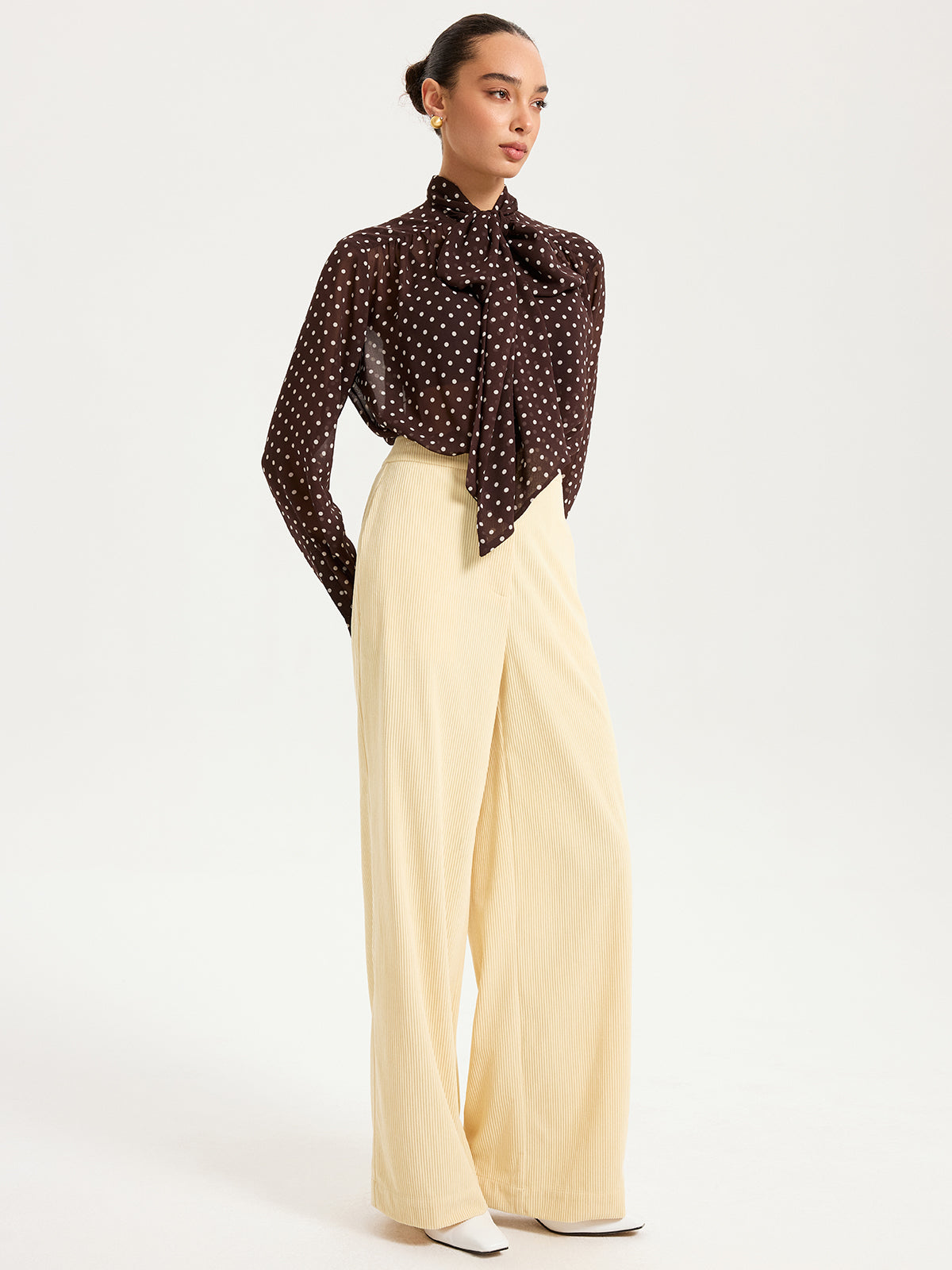 Semi-Sheer Polka Dot Chiffon Bow Blouse Women's Fashion Top