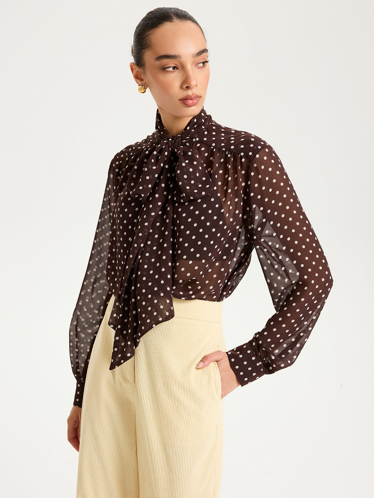 Semi-Sheer Polka Dot Chiffon Bow Blouse Women's Fashion Top