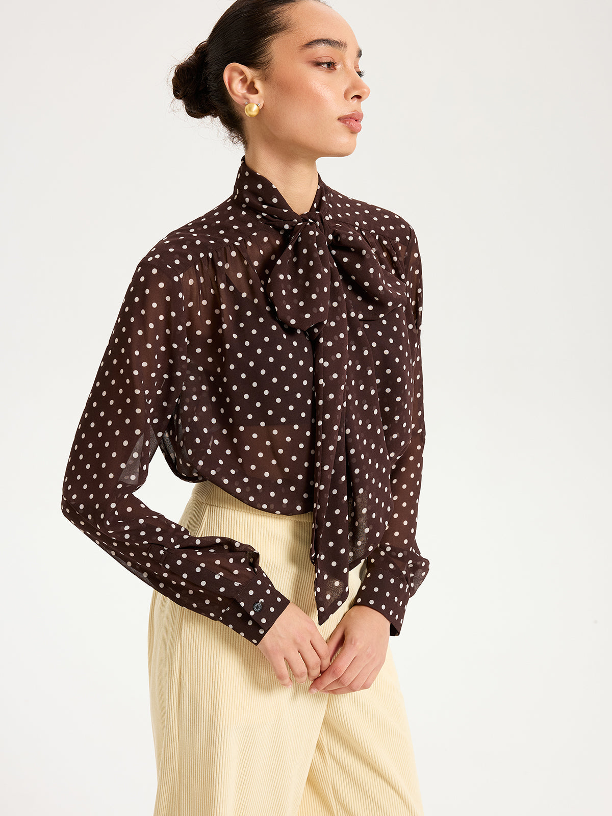 Semi-Sheer Polka Dot Chiffon Bow Blouse Women's Fashion Top