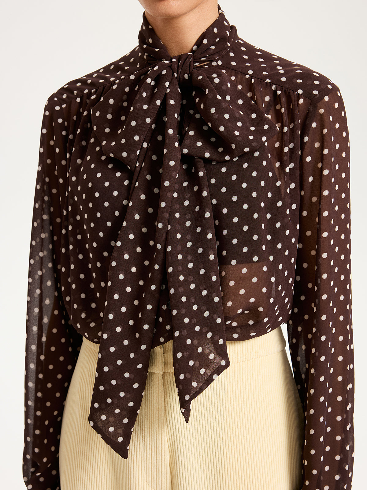 Semi-Sheer Polka Dot Chiffon Bow Blouse Women's Fashion Top