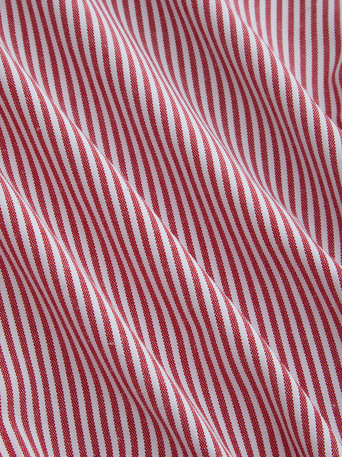 Color-Block Striped Tie-Waist Shirt for Women, Casual Long Sleeve Style