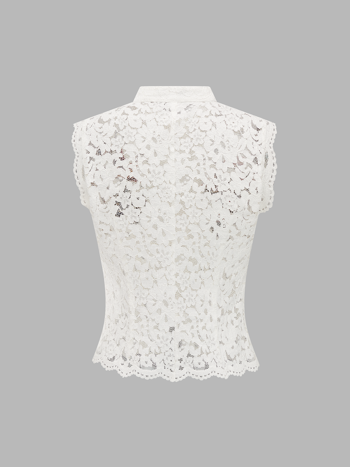 Embroidered Birdsong Lace Top Elegant Floral Design Detail
