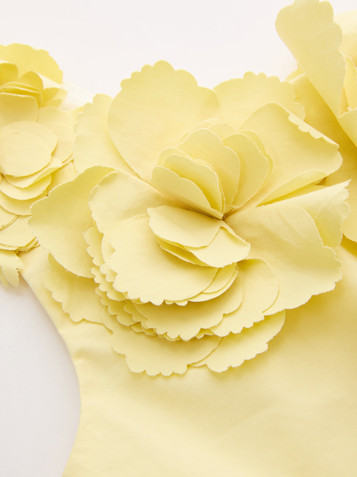 3D Floral Crop Top & Pleated Midi Skirt Set for Spring Outfits