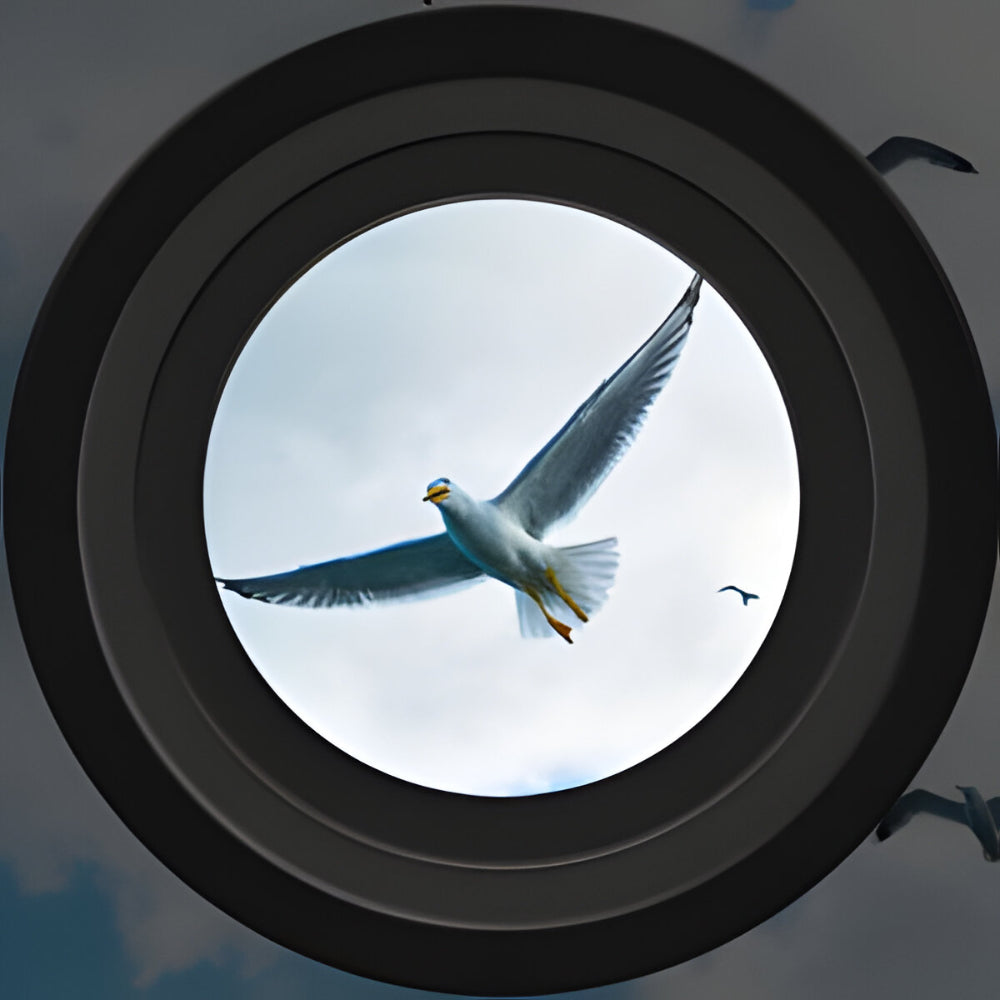 koadclo | Binoculars - High Power Night Vision Waterproof