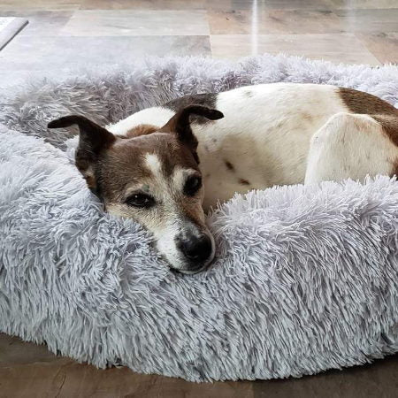 koadclo | Calming Faux Fur Washable Dog Bed Cushion