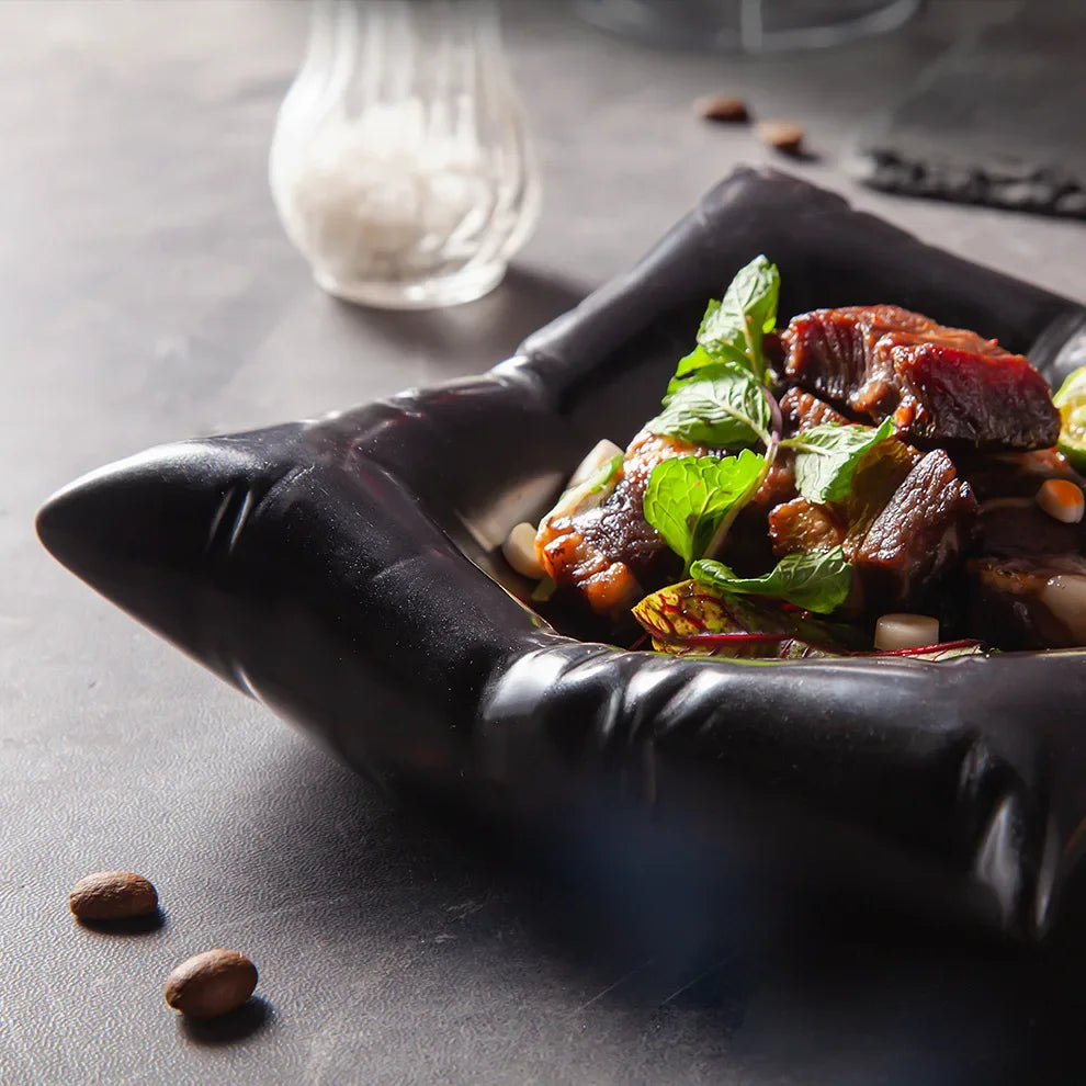 Koadclo | Ceramic Artistic Pillow Shape Food Plate