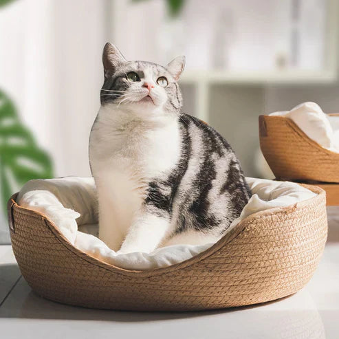 Koadclo | Bamboo Bed