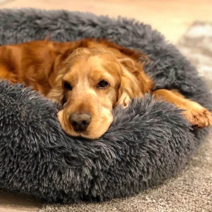 koadclo | Calming Faux Fur Washable Dog Bed Cushion