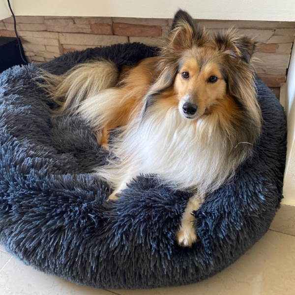 koadclo | Calming Faux Fur Washable Dog Bed Cushion