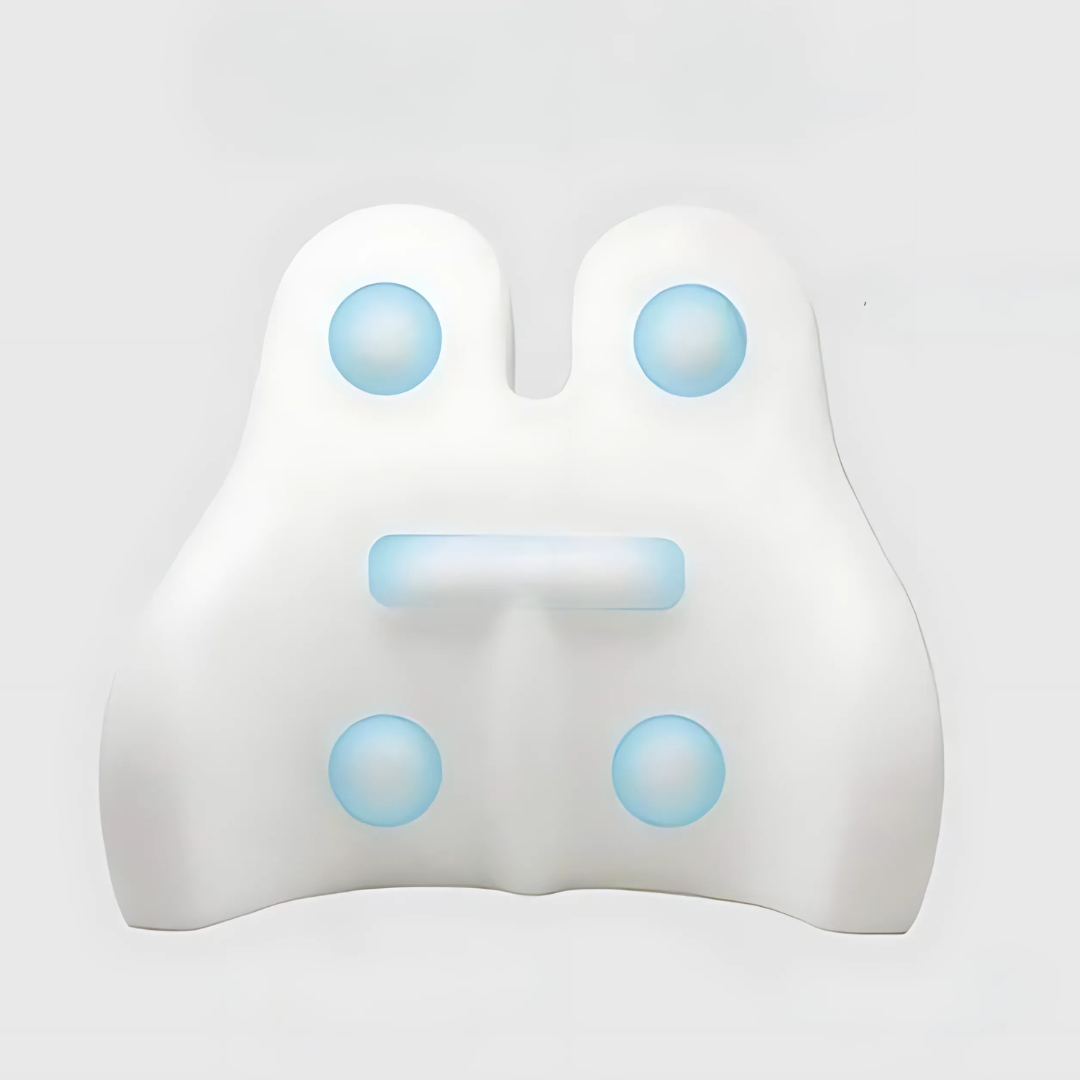 koadclo | Back Support Cushion with Memory Foam Design