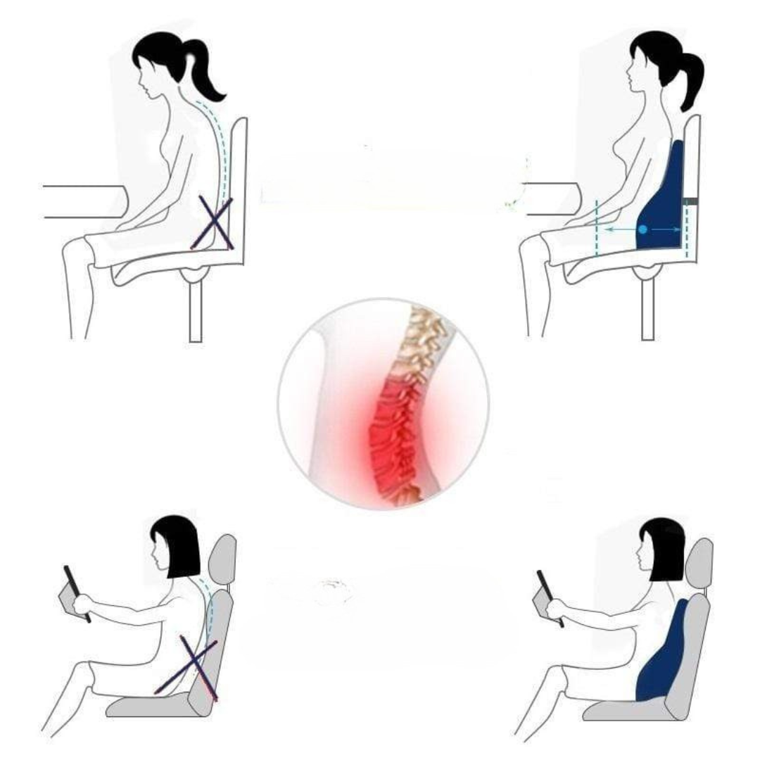 koadclo | Back Support Cushion with Memory Foam Design