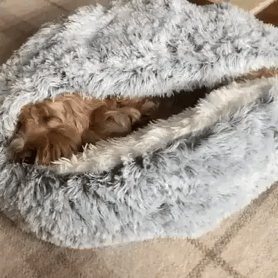 koadclo | Cozy Cave Pet Bed – Calming & Comfortable Dog Bed for Deep Relaxation