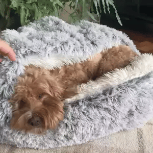 koadclo | Cozy Cave Pet Bed – Calming & Comfortable Dog Bed for Deep Relaxation