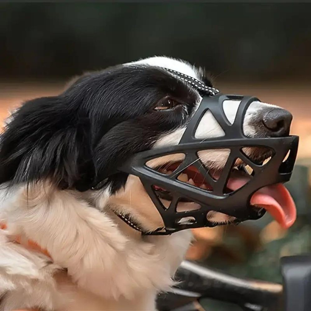 Koadclo | SafeBark Dog Muzzle