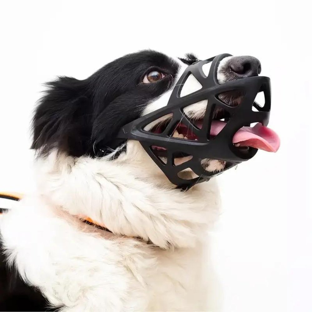 Koadclo | SafeBark Dog Muzzle